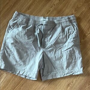 Light Gray, Men’s Large Casual Shorts